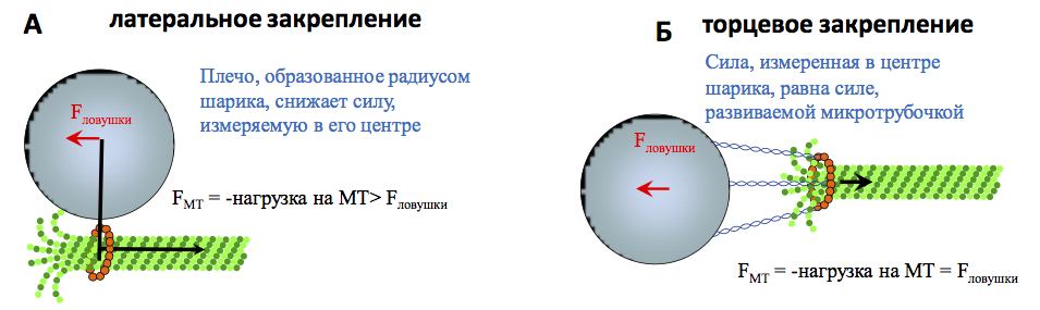 PNAS2013 for MSU.jpg